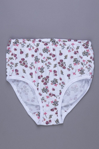 Трусы жен. В009375 В009375 СВIТАНАК трикотаж оптом