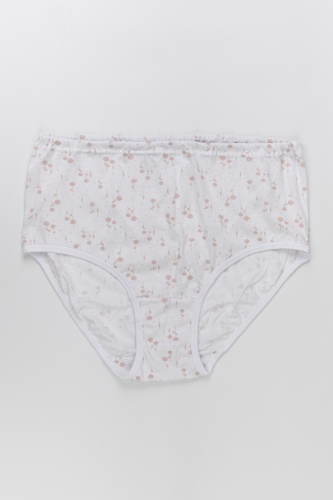 Трусы жен. В009375 В009375 СВIТАНАК трикотаж оптом