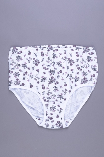 Трусы жен. В009375 В009375 СВIТАНАК трикотаж оптом