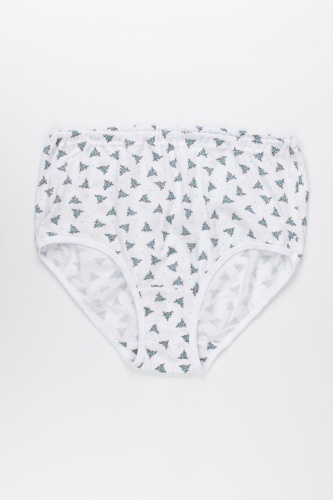 Трусы жен. В009375 В009375 СВIТАНАК трикотаж оптом