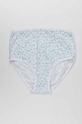 Трусы жен. В009375 В009375 СВIТАНАК трикотаж оптом