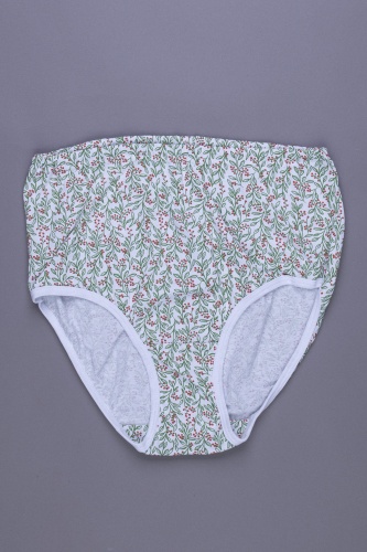 Трусы жен. В009375 В009375 СВIТАНАК трикотаж оптом